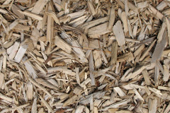 biomass boilers Manselton
